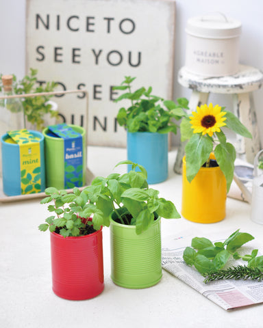 Eggling Plant Can - Basil - Neapolitan Homewares