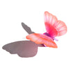 Butterfly Magic Light Pink Orange - Neapolitan Homewares